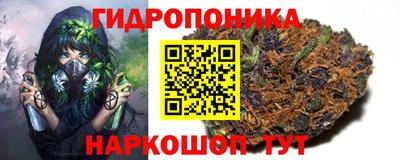 сатива Малгобек