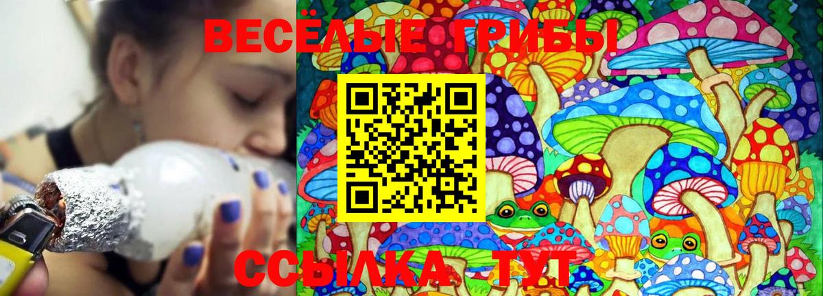 Галлюциногенные грибы Psilocybine cubensis  Вход с VPN  Дмитров 