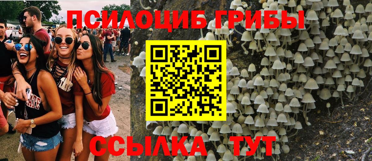 Псилоцибиновые грибы ЛСД Дмитров